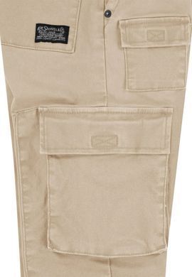 Штани карго Levi's для хлопчика Бежевий 110 см (5 лет) (222 pvu beige)