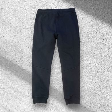 Утепленные Спортивные штаны для мальчика Piazza Italia Черный (PIT1501 208 black 128 см (7-8 лет))