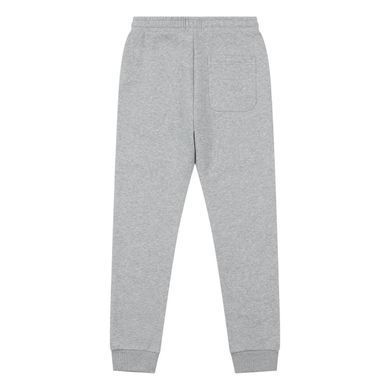 Спортивные штаны Lyle & Scott на флисе детские Серый (LSC1607 grey lav25 (S (12/13 лет))