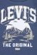 Комплект Levi's 2в1 світшот на флісі та джинси для хлопчиків дитячий Сіро-синій (312 set pvu indigo (62 (3m))