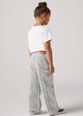 Підліткові штани-карго Levi's Lvg Twill '94 Baggy Wide Leg для дівчаток Квітковий принт (019 pvu blue-surf (140 (10A))