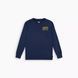 Лонгслів Levis з довгим рукавом High Peaks для хлопчиків Синій (421 pvu blue J (140 (10A))