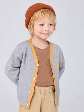 Кардиган для мальчика SHEIN Серый (JIT7302476 grey (110 см (5 лет))