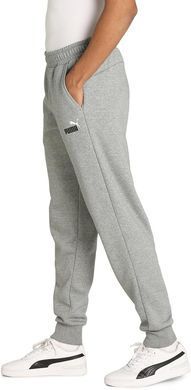 Мужские спортивные штаны Puma Slim Fit Серый (586748-03 grey lav25 (M)