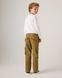 Штани карго Levi's для хлопчика Гірчичний 110 см (5 лет) (211 pvu ermine)