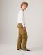 Штани карго Levi's для хлопчика Гірчичний 110 см (5 лет) (211 pvu ermine)