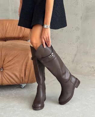 Зимние сапоги, жокейки женские Meideli Коричневый (A92 brown (36 (23,5 см))