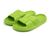 Шльопанці жіночі Plaazzo Зелений (819 green (36-37 (23,5 см))