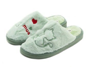 Комнатные тапочки для женщин Lion Мятный (w689 green (40-41 (25,5 см))