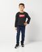Свитшот на флисе Levi's для мальчика Черный (9079 pvu black (92 (2A))