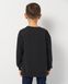 Свитшот на флисе Levi's для мальчика Черный (9079 pvu black (92 (2A))