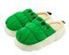 Тапочки женские Lion Зеленый (1240 green (36-37 (23 см))