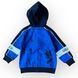 Худи с капюшоном на микрофлисе для мальчика Piazza Italia Синий (PIT1501 148 blue (12-18 мес (82 см))
