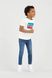 Підліткові джинси Levi's Skinny Taper для хлопчика Синій (214 pvu por vida (92 (2A))