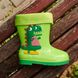 Резиновые сапоги для девочки BBT Kids Зеленый (H2998-4 green (29-190 (18,5 см))