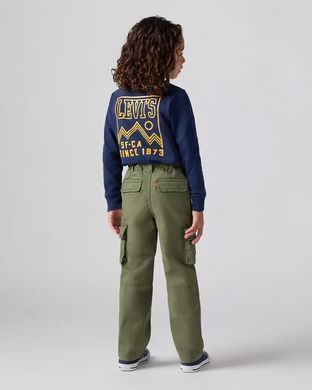 Брюки Карго Levi's для мальчика Хаки 110 см (5 лет) (211 pvu khaki)