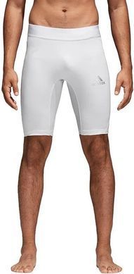 Тайтсы леггинсы Adidas Alphaskin 6 Compression унисекс Белый (DZ8431 white LPP (S)