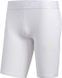 Тайтсы леггинсы Adidas Alphaskin 6 Compression унисекс Белый (DZ8431 white LPP (S)