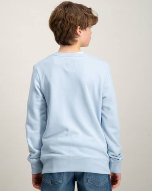 Детская кофта Levi's бирюзовый цвет с принтом для мальчика (9078 pvu blue (68 (6m))