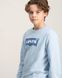 Детская кофта Levi's бирюзовый цвет с принтом для мальчика (9078 pvu blue (68 (6m))