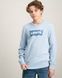 Детская кофта Levi's бирюзовый цвет с принтом для мальчика (9078 pvu blue (68 (6m))