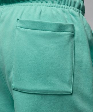 Шорты повседневные Nike Jordan Essentials Shorts мужские Мятные (FQ4534-349 green lav25 (L)
