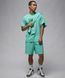 Шорты повседневные Nike Jordan Essentials Shorts мужские Мятные (FQ4534-349 green lav25 (L)