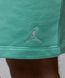 Шорты повседневные Nike Jordan Essentials Shorts мужские Мятные (FQ4534-349 green lav25 (L)