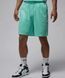 Шорты повседневные Nike Jordan Essentials Shorts мужские Мятные (FQ4534-349 green lav25 (L)