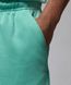 Шорты повседневные Nike Jordan Essentials Shorts мужские Мятные (FQ4534-349 green lav25 (L)