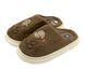 Комнатные тапочки для мальчика Lion Коричневый (1227 brown (36-37 (23 см))