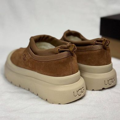 Уги тапки UGG Tasman Weather Hybrid женские Ailaifa Коричневый (G01 brown (36 (23,5 см))