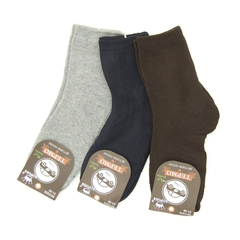 Комплект носков для хлопчика Lion Різнокольорові (C3218 bl-gr-brown (31-36)