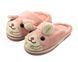 Комнатные тапочки для девочек Lion Розовый (w669 pink (28-29 (18,5 см))