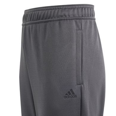 Детские спортивные штаны Adidas детские Серый (AZB011 grey lav25 (9-10 years (140))