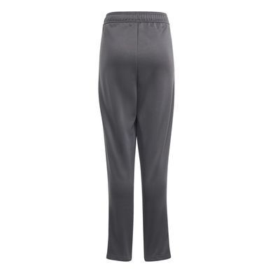 Детские спортивные штаны Adidas детские Серый (AZB011 grey lav25 (9-10 years (140))
