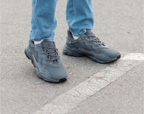 Кроссовки Adidas OZWEEGO мужские No brend Серый (adi ozweego grey (41 (26 см)))