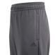 Детские спортивные штаны Adidas детские Серый (AZB011 grey lav25 (9-10 years (140))
