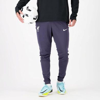 Спортивные штаны Nike LFC мужские Фиолетовый (FN7322-015 purple lav25 (XL)