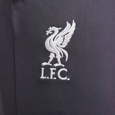 Спортивные штаны Nike LFC мужские Фиолетовый (FN7322-015 purple lav25 (XL)