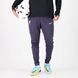 Спортивные штаны Nike LFC мужские Фиолетовый (FN7322-015 purple lav25 (XL)