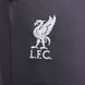 Спортивные штаны Nike LFC мужские Фиолетовый (FN7322-015 purple lav25 (XL)
