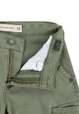 Штани карго Levi's для хлопчика Хакі 110 см (5 лет) (222 pvu khaki)