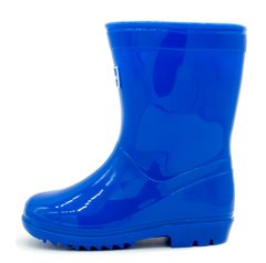 Резиновые сапоги для мальчика DONNAY Синий (DONNAY23 blue (31 (21 см)))